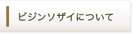 ビジンソザイについて