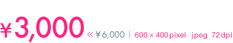 \3,000 600pixel*400pixel jpeg 72dpi